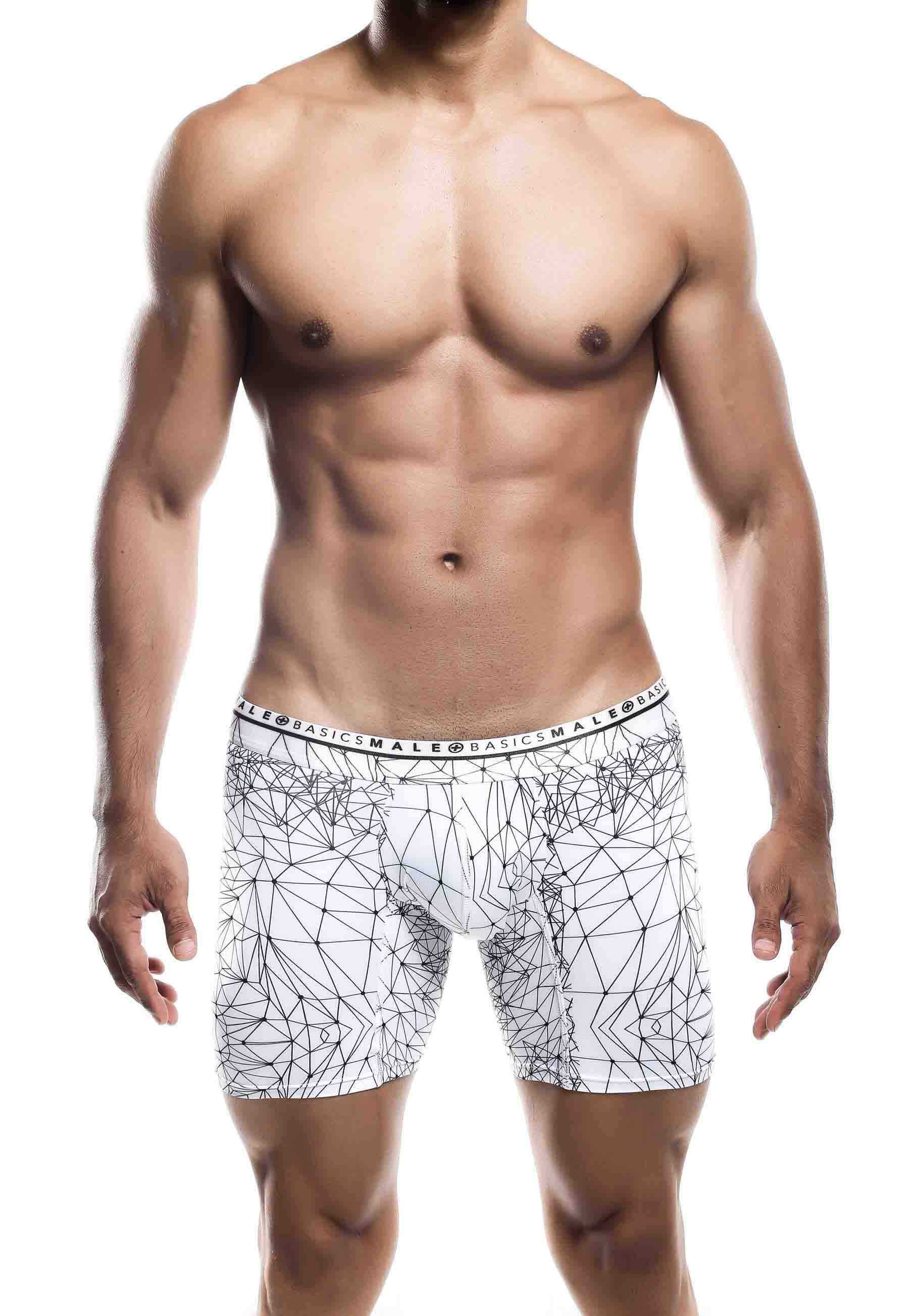 Mens Malebasics New Hipster Boxer Brief Spider