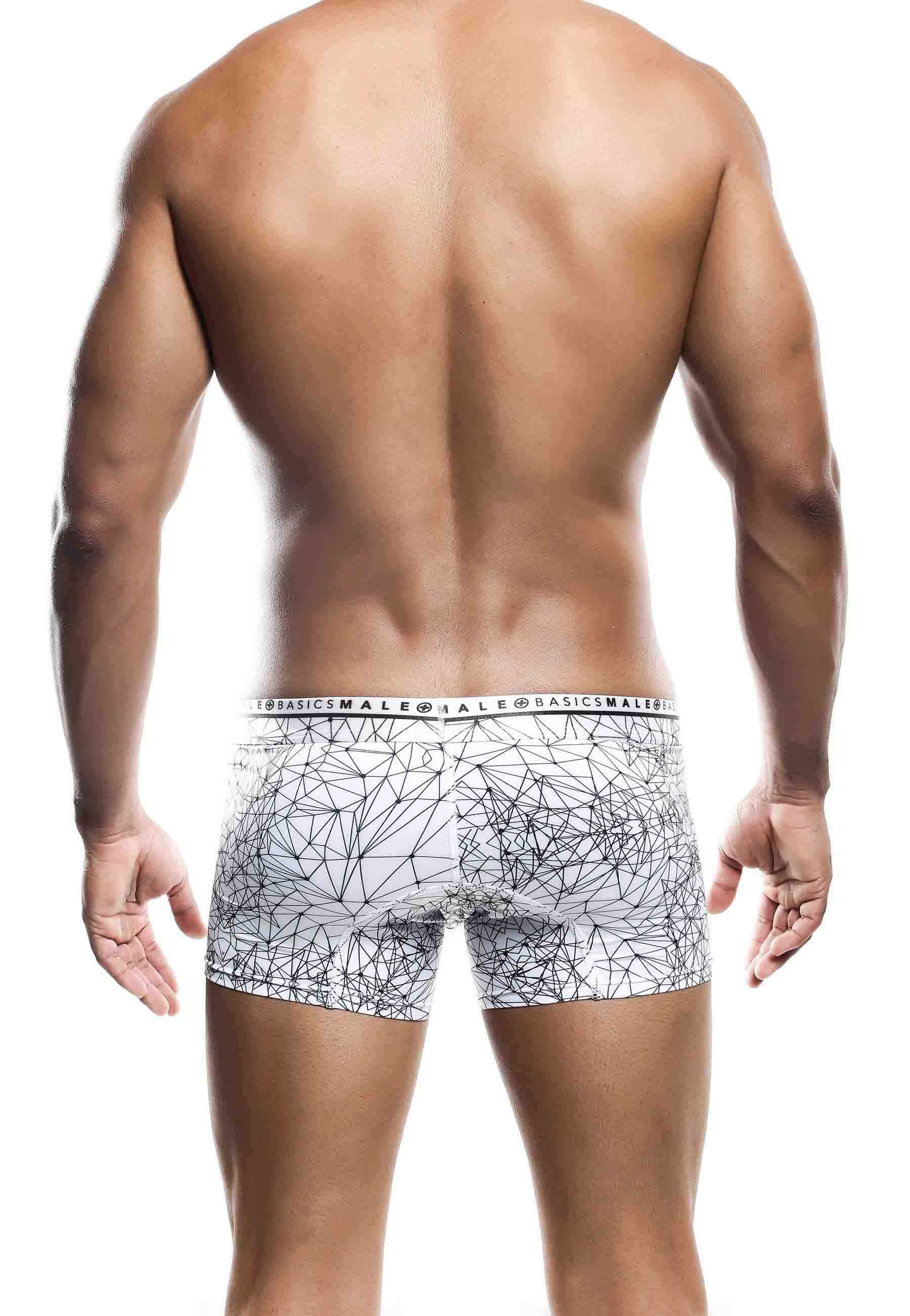 Trunk Hipster Back View Mens Malebasics print Spider