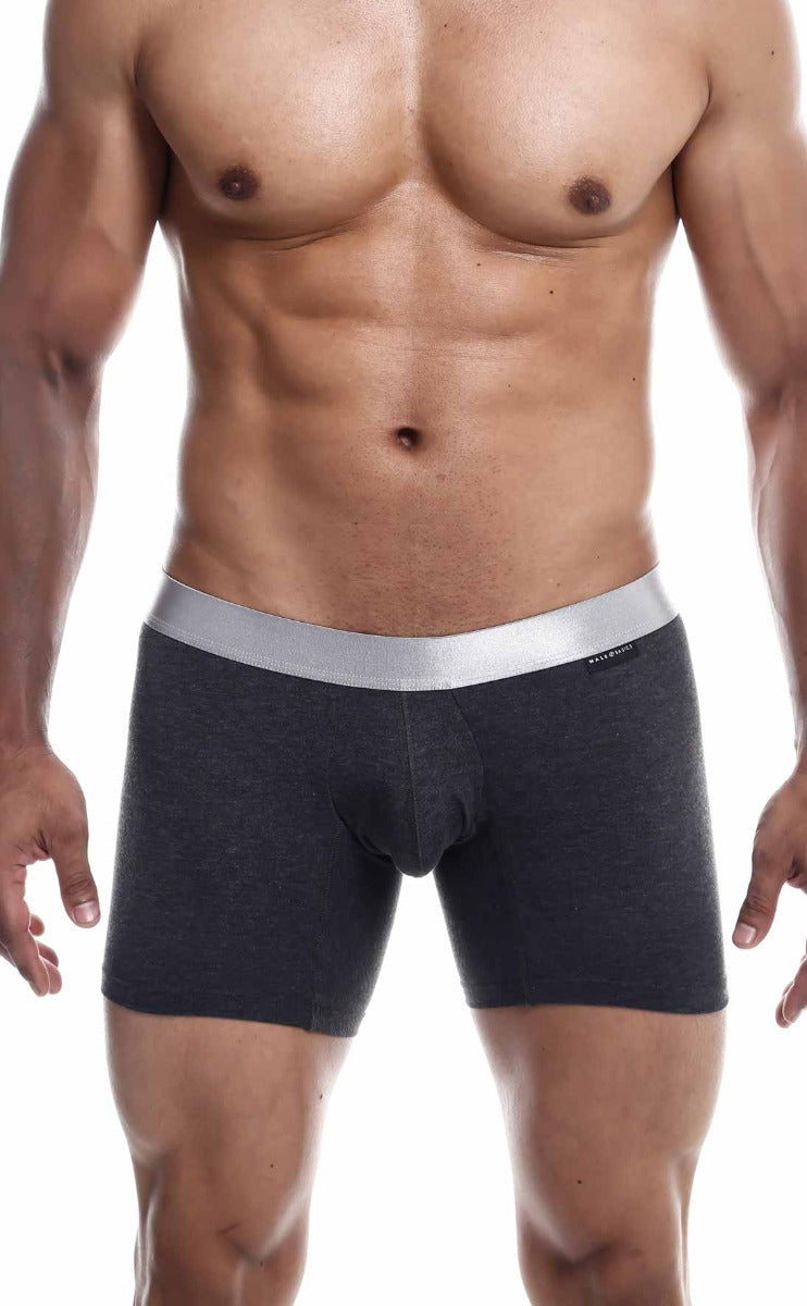 Boxer Brief Pima front view grey color nylon