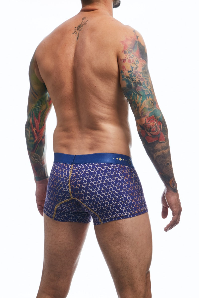 Trunk hipster back view print color blue 