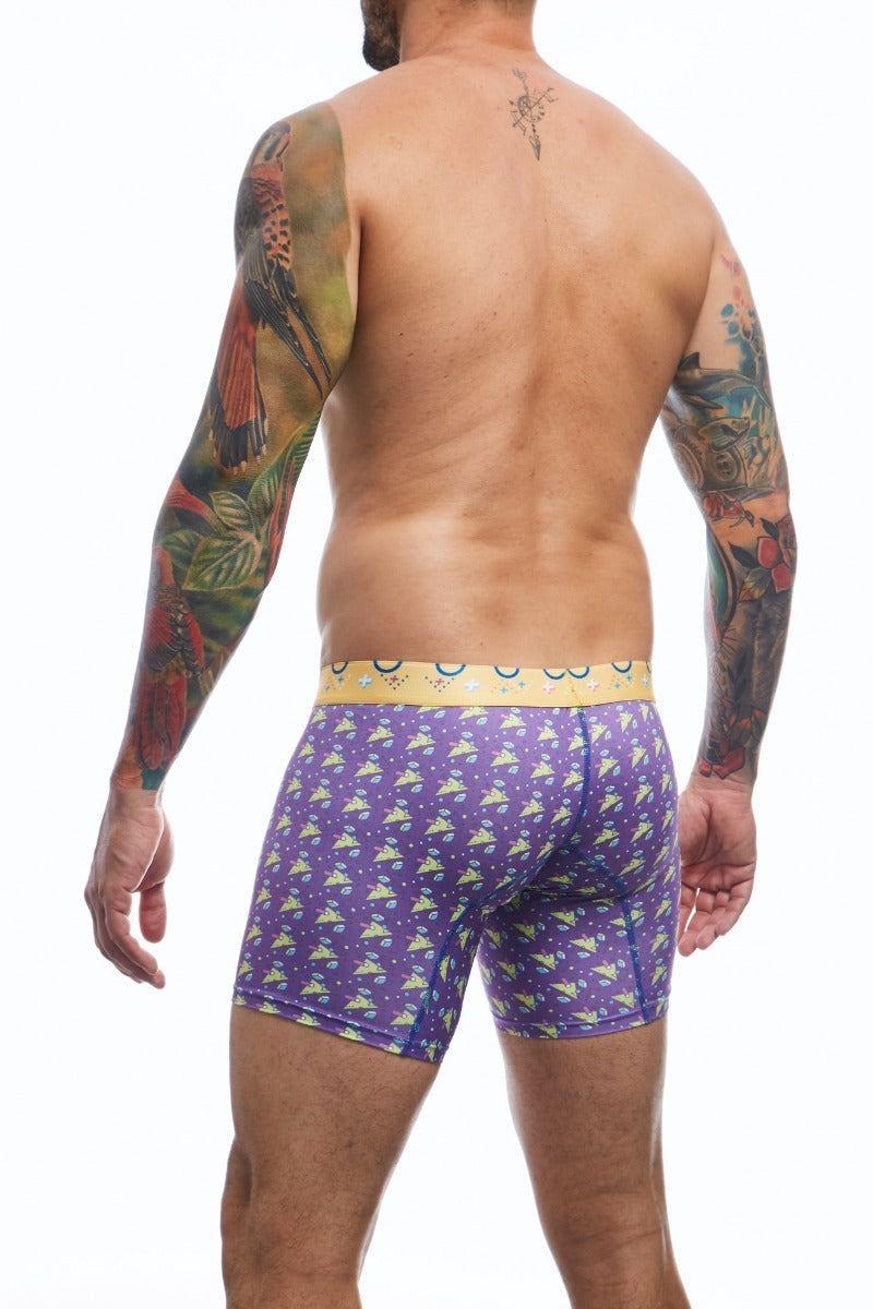 Boxer brief hipster collection printed with geometric forms in purple color back view