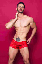 MOB Eroticwear Rose Lace Mini Boy Shorts in various shades, showcasing sheer embroidered design with a comfortable, enhancing pouch.