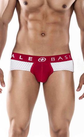 Modern and sexy Spot Brief with lean cuts, mesh detailing, and a supportive pouch, accentuating the male physique.